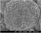 LiNiCoMnO2 (Ni:Co:Mn=8:1:1, NCM811) Powder for Li-ion Battery 200g/bag - EQ-Lib-LNCM811