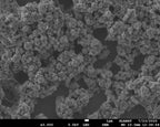 Lithium Phosphorus Sulfur Chloride (Li6PS5Cl or Sb-Li6PS5Cl) Powder as Solid-State Electrolyte for Li-ion Battery, 10g/bottle-Lib-LPSCI