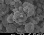 Lithium Phosphorus Sulfur Chloride (Li6PS5Cl or Sb-Li6PS5Cl) Powder as Solid-State Electrolyte for Li-ion Battery, 10g/bottle-Lib-LPSCI