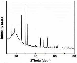 Na2Fe2(SO4)3 Powder as High-Voltage Cathode for Sodium-Ion Battery, 50g/bottle-SIB-NFS