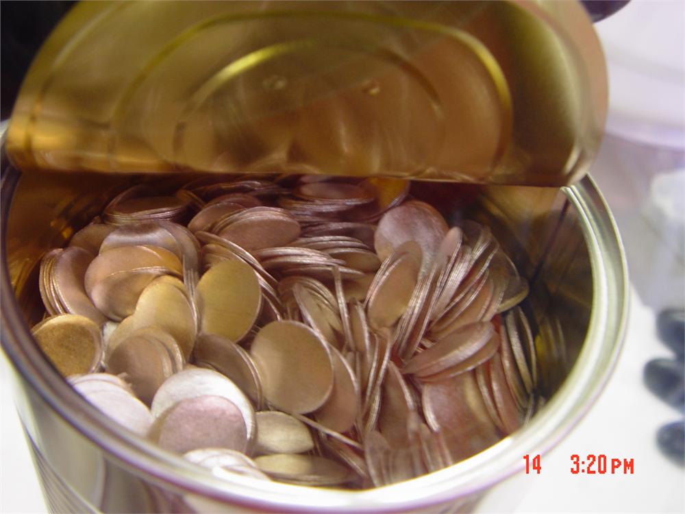 Lithium Chip 16 Dia x 0.2/0.6/1.0 thick (mm) for Li-ion Battery R&D, 300pcs / bottle - EQ-Lib-LiC
